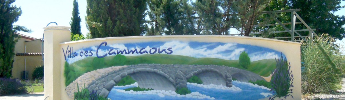 Le pont des Cammaous