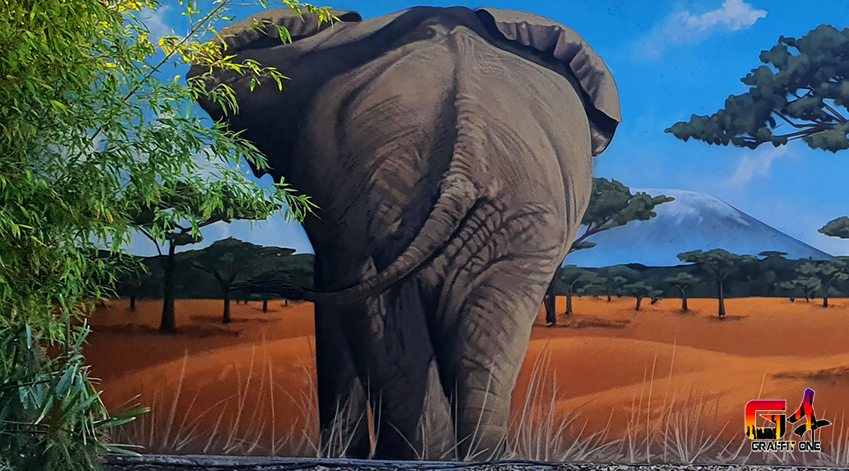 Fresque graffiti Afrique — photo 5