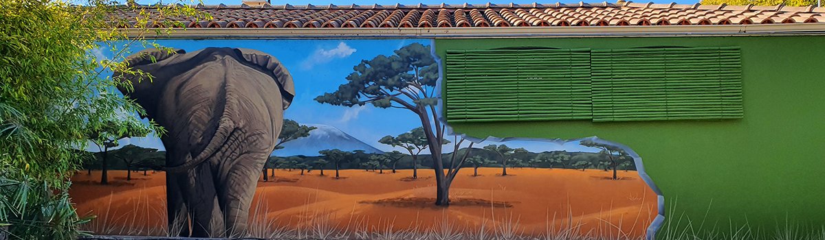 Fresque graffiti Afrique — photo 1