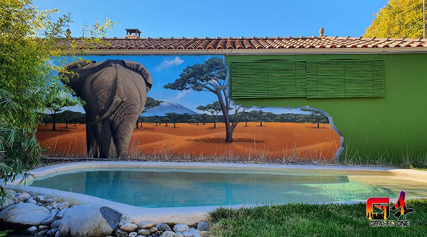 Fresque graffiti Afrique — photo 4