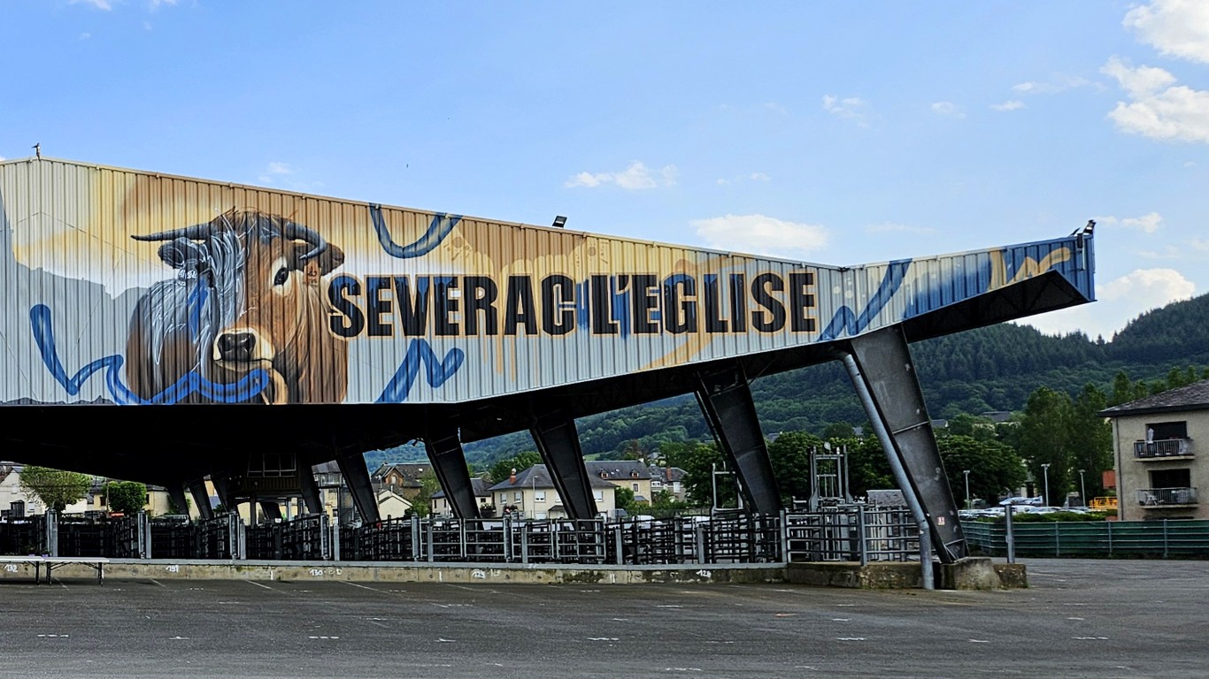 Fresque murale monumentale à Laissac-Sévérac-l'Église — photo 3