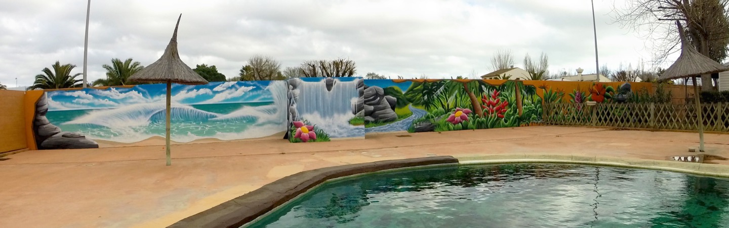 La plage des Salisses et sa forêt tropicale