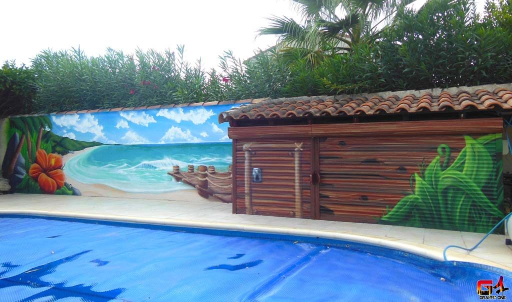 La plage et son hibiscus — photo 3