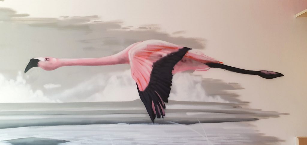 Les flamants roses de Palavas-les-Flots — photo 3