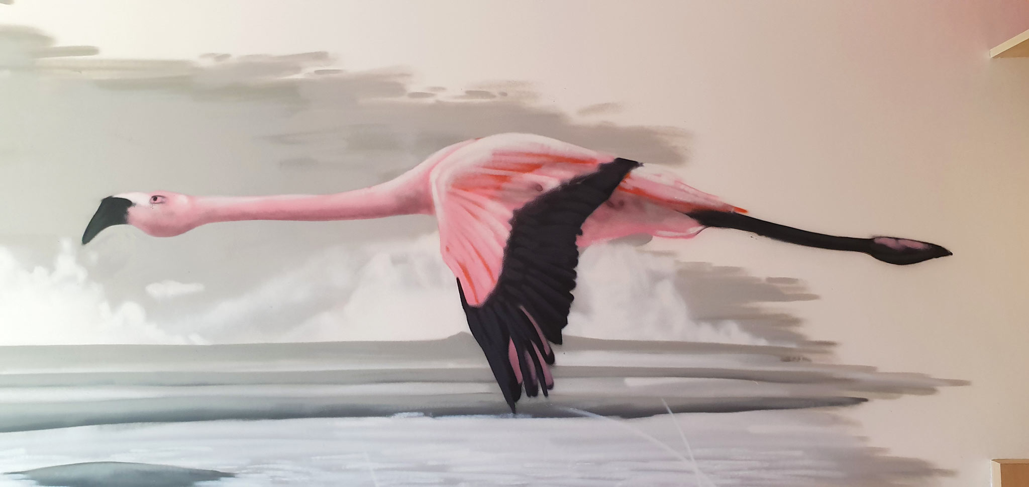 Les flamants roses de Palavas-les-Flots