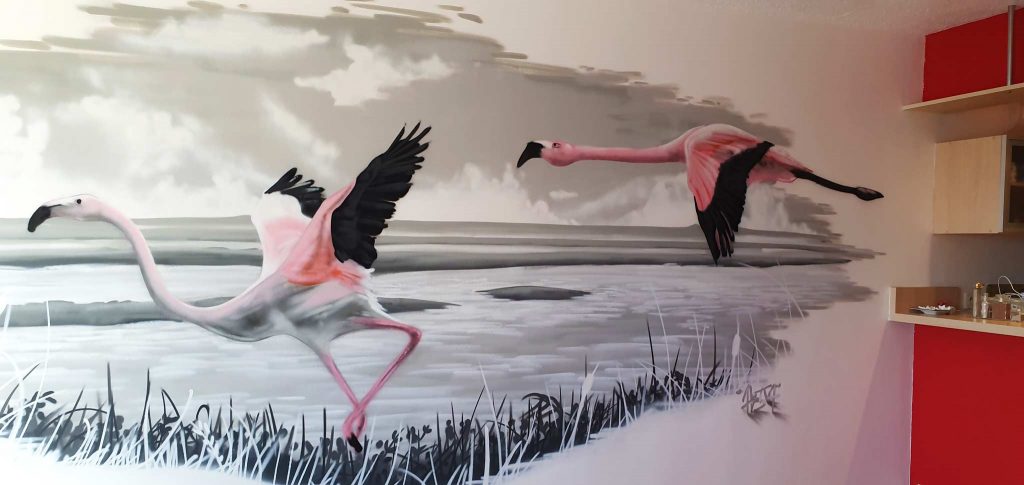 Les flamants roses de Palavas-les-Flots — photo 5