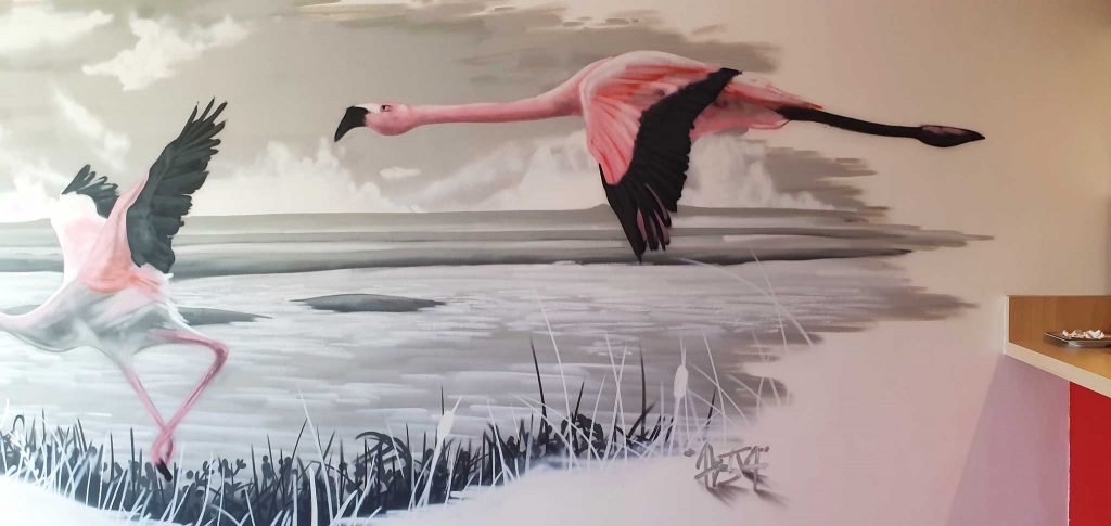 Les flamants roses de Palavas-les-Flots — photo 4